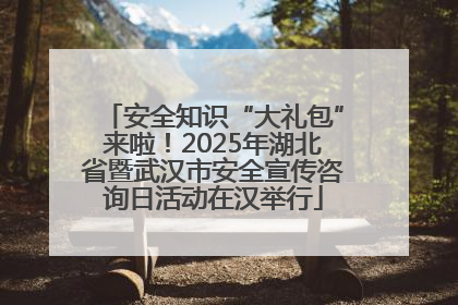 安全知识“大礼包”来啦！2025年湖北省暨武汉市安全宣传咨询日活动在汉举行
