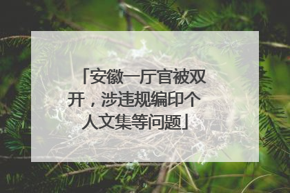 安徽一厅官被双开，涉违规编印个人文集等问题