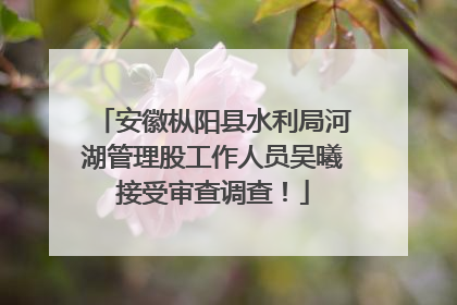安徽枞阳县水利局河湖管理股工作人员吴曦接受审查调查！
