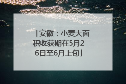 安徽：小麦大面积收获期在5月26日至6月上旬