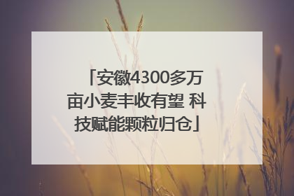 安徽4300多万亩小麦丰收有望 科技赋能颗粒归仓