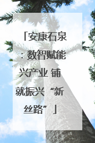 安康石泉：数智赋能兴产业 铺就振兴“新丝路”