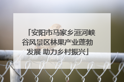 安阳市马家乡洹河峡谷风景区林果产业蓬勃发展 助力乡村振兴
