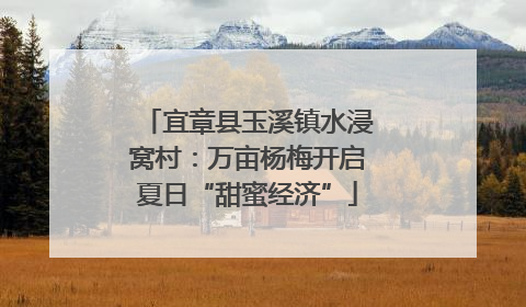 宜章县玉溪镇水浸窝村：万亩杨梅开启夏日“甜蜜经济”