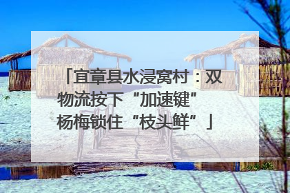 宜章县水浸窝村：双物流按下“加速键” 杨梅锁住“枝头鲜”