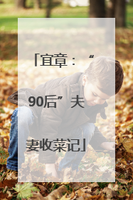 宜章：“90后”夫妻收菜记