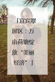 宜宾翠屏区：万亩荷塘绽放“美丽经济”