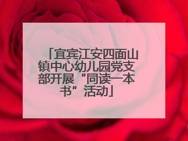 宜宾江安四面山镇中心幼儿园党支部开展“同读一本书”活动