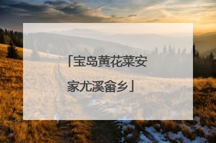 宝岛黄花菜安家尤溪畲乡
