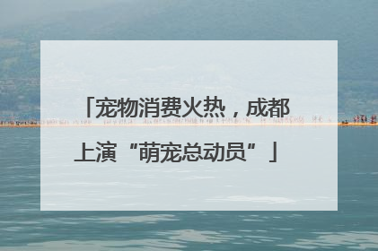 宠物消费火热，成都上演“萌宠总动员”