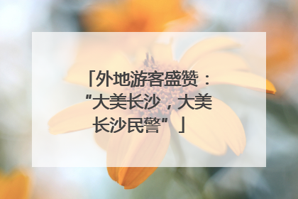 外地游客盛赞：“大美长沙，大美长沙民警”
