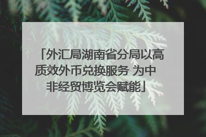 外汇局湖南省分局以高质效外币兑换服务 为中非经贸博览会赋能