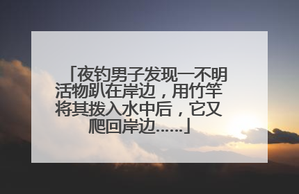 夜钓男子发现一不明活物趴在岸边，用竹竿将其拨入水中后，它又爬回岸边……