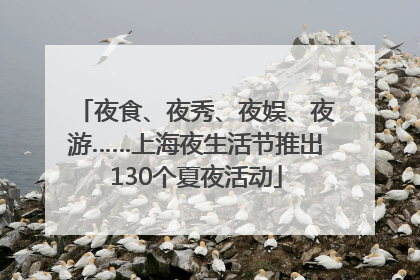夜食、夜秀、夜娱、夜游……上海夜生活节推出130个夏夜活动