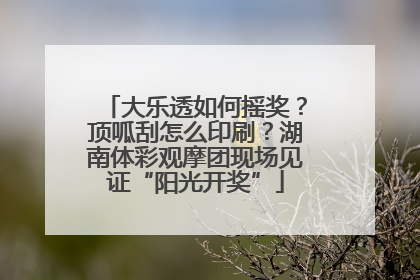 大乐透如何摇奖？顶呱刮怎么印刷？湖南体彩观摩团现场见证“阳光开奖”