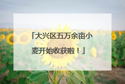 大兴区五万余亩小麦开始收获啦!