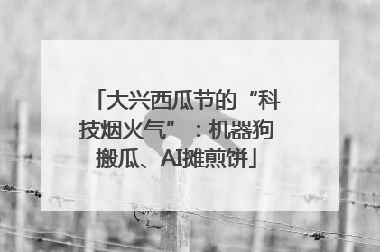 大兴西瓜节的“科技烟火气”：机器狗搬瓜、AI摊煎饼