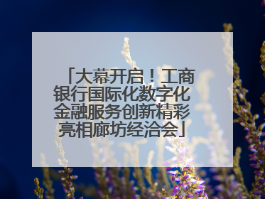 大幕开启！工商银行国际化数字化金融服务创新精彩亮相廊坊经洽会