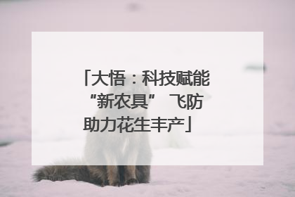 大悟：科技赋能“新农具” 飞防助力花生丰产