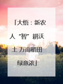 大悟：新农人“智”耕沃土 万亩稻田绿意浓