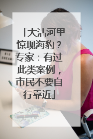 大沽河里惊现海豹？专家：有过此类案例，市民不要自行靠近