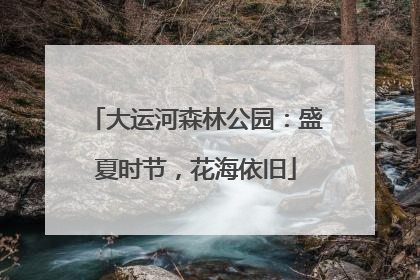 大运河森林公园：盛夏时节，花海依旧