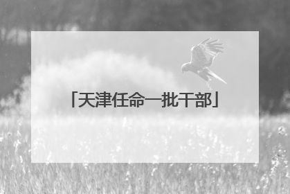 天津任命一批干部