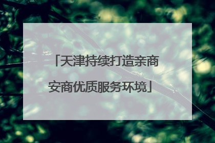 天津持续打造亲商安商优质服务环境