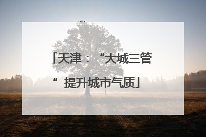 天津：“大城三管”提升城市气质