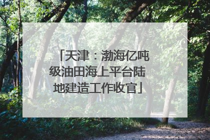 天津：渤海亿吨级油田海上平台陆地建造工作收官
