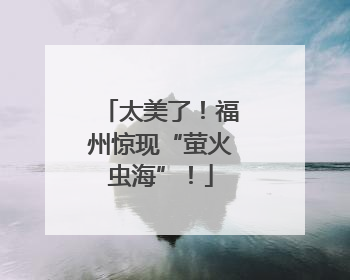 太美了！福州惊现“萤火虫海”！