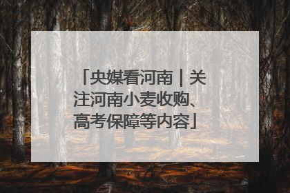 央媒看河南｜关注河南小麦收购、高考保障等内容