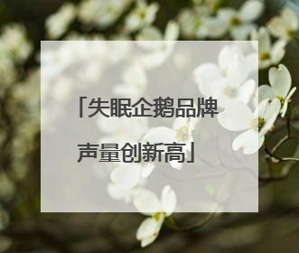 失眠企鹅品牌声量创新高