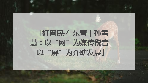 好网民·在东营｜孙雪慧：以“网”为媒传税音 以“屏”为介助发展