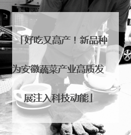 好吃又高产！新品种为安徽蔬菜产业高质发展注入科技动能