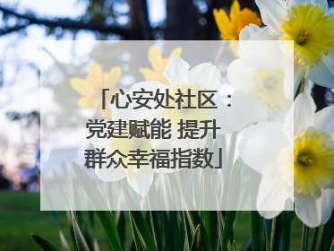 心安处社区：党建赋能 提升群众幸福指数