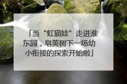 当“虹猫娃”走进淮东园，皂荚树下一场幼小衔接的探索开始啦