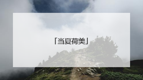 当夏荷美