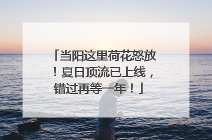当阳这里荷花怒放！夏日顶流已上线，错过再等一年！