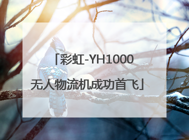 彩虹-YH1000无人物流机成功首飞