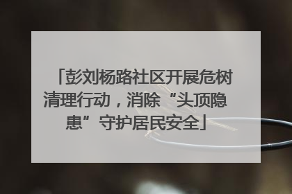 彭刘杨路社区开展危树清理行动，消除“头顶隐患”守护居民安全