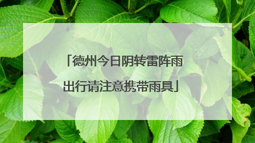 德州今日阴转雷阵雨 出行请注意携带雨具