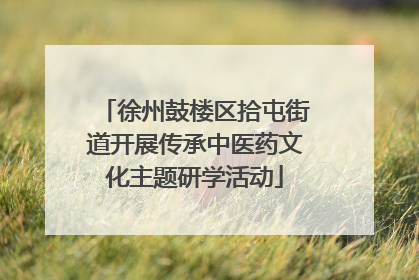 徐州鼓楼区拾屯街道开展传承中医药文化主题研学活动