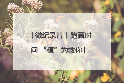 微纪录片丨跑赢时间 “植”为救你