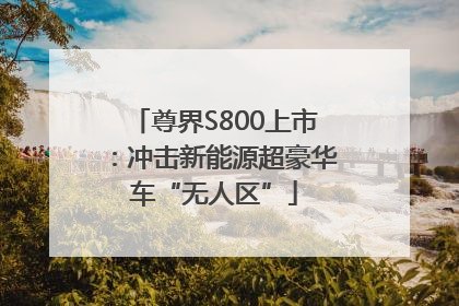尊界S800上市：冲击新能源超豪华车“无人区”