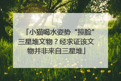 小猫喝水姿势“撞脸”三星堆文物？经求证该文物并非来自三星堆