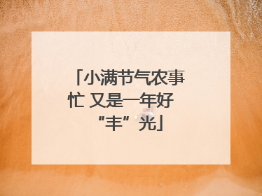 小满节气农事忙 又是一年好“丰”光