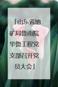 山东省地矿局鲁南院华鲁工程党支部召开党员大会