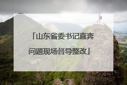 山东省委书记直奔问题现场督导整改