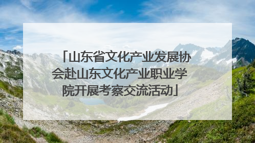 山东省文化产业发展协会赴山东文化产业职业学院开展考察交流活动